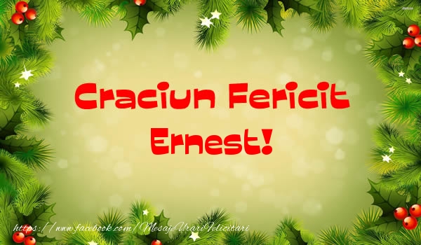 Felicitari de Craciun - Craciun Fericit Ernest!