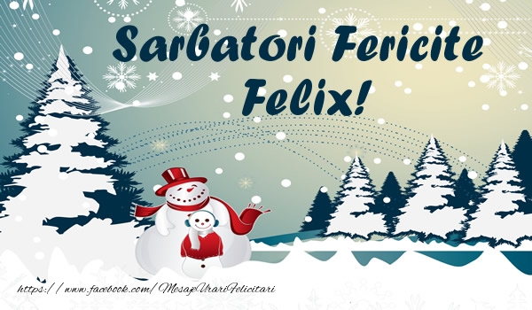 Felicitari de Craciun - ⛄ Brazi & Om De Zapada & Peisaje De Iarna | Sarbatori fericite Felix!