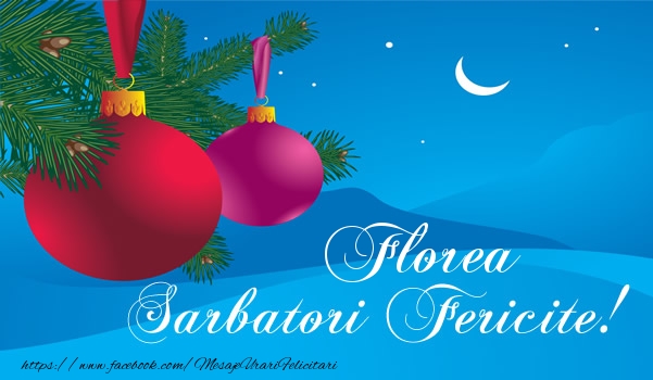Felicitari de Craciun - Florea Sarbatori fericite!