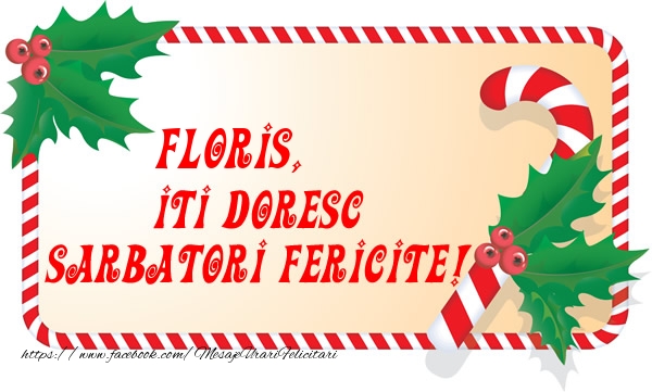 Felicitari de Craciun - Floris Iti Doresc Sarbatori Fericite!
