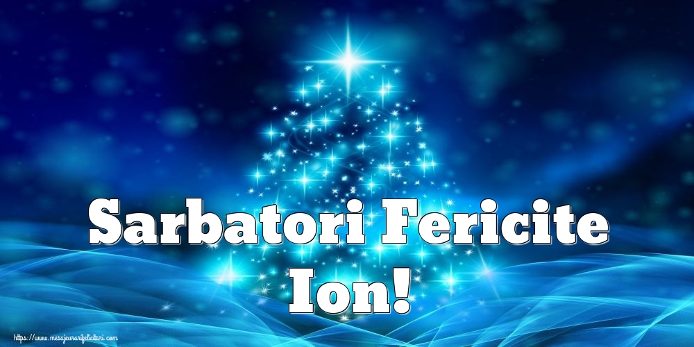 Felicitari de Craciun - Sarbatori Fericite Ion!
