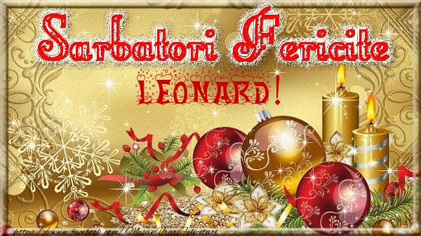 Felicitari de Craciun - Globuri | Sarbatori fericite Leonard!