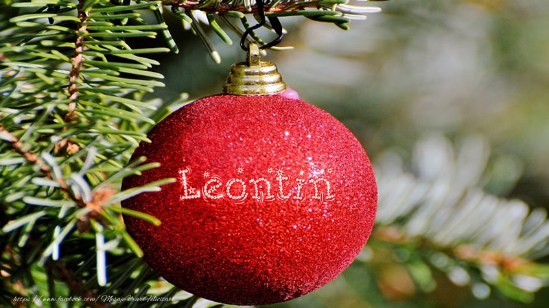 Felicitari de Craciun - Numele Leontin pe glob