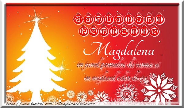 Felicitari de Craciun - Sarbatori fericite  in jurul pomului de iarna si in mijlocul celor dragi! Magdalena