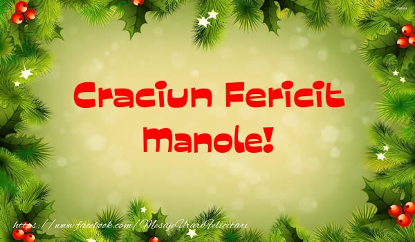 Felicitari de Craciun - Craciun Fericit Manole!