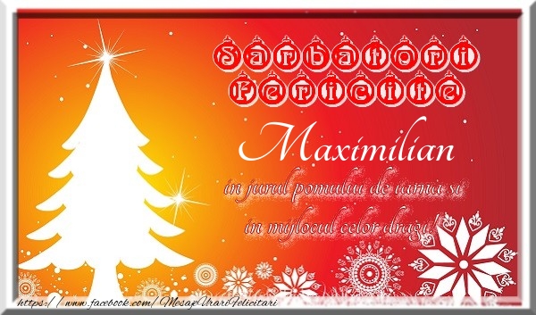 Felicitari de Craciun - Sarbatori fericite  in jurul pomului de iarna si in mijlocul celor dragi! Maximilian