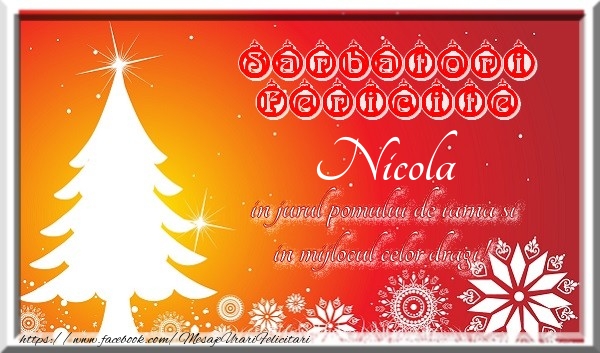 Felicitari de Craciun - Sarbatori fericite  in jurul pomului de iarna si in mijlocul celor dragi! Nicola