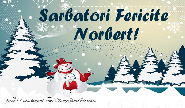 Felicitari de Craciun - ⛄ Brazi & Om De Zapada & Peisaje De Iarna | Sarbatori fericite Norbert!