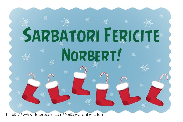 Felicitari de Craciun - Sarbatori fericite Norbert!