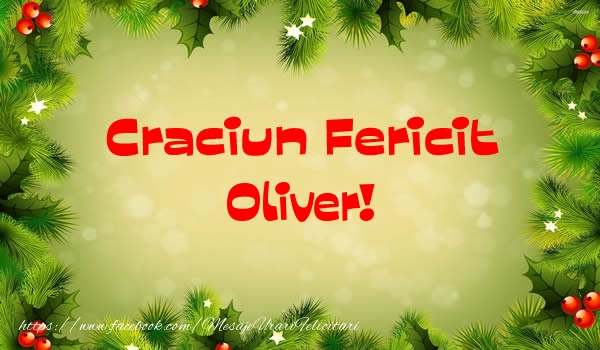 Felicitari de Craciun - Brazi | Craciun Fericit Oliver!