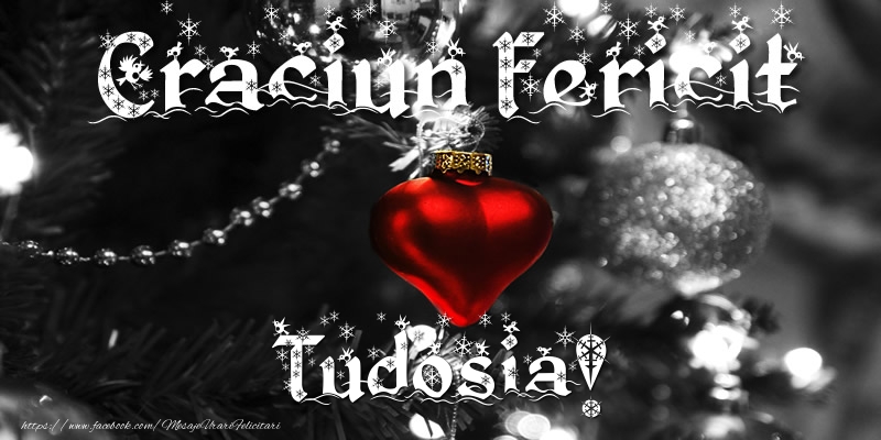 Felicitari de Craciun - Globuri | Craciun Fericit Tudosia!