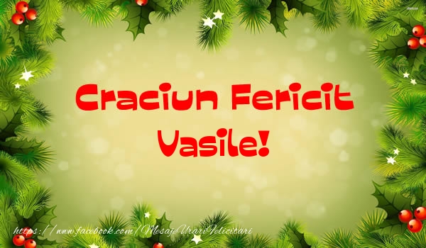 Felicitari de Craciun - Brazi | Craciun Fericit Vasile!