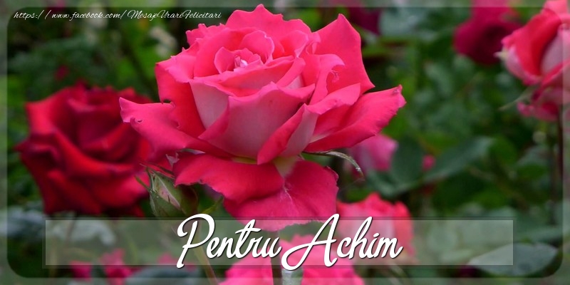 Felicitari Diverse - Trandafiri | Pentru Achim