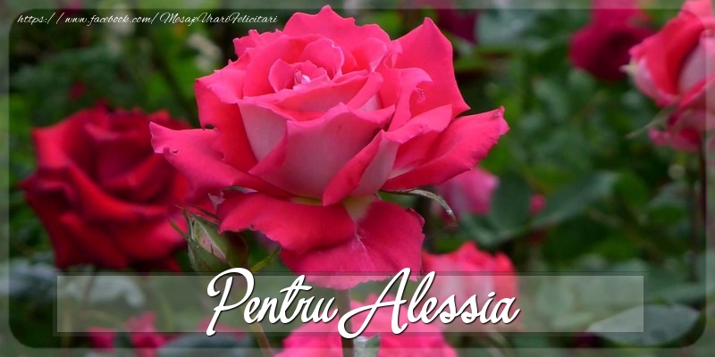 Felicitari Diverse - Trandafiri | Pentru Alessia