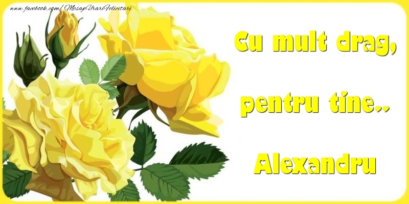 Felicitari Diverse - Trandafiri | Cu mult drag, pentru tine.. Alexandru