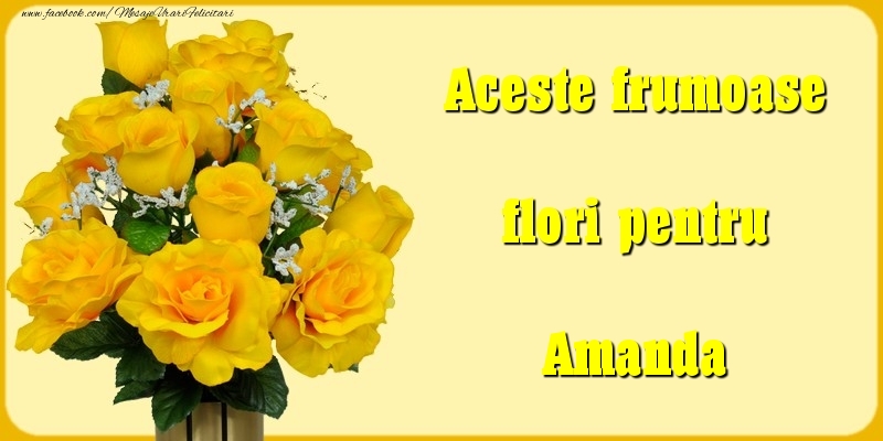 Felicitari Diverse - Trandafiri | Aceste frumoase flori pentru Amanda