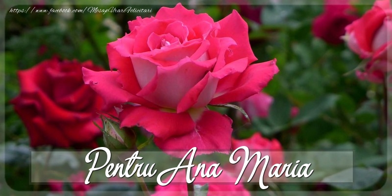 Felicitari Diverse - Trandafiri | Pentru Ana Maria