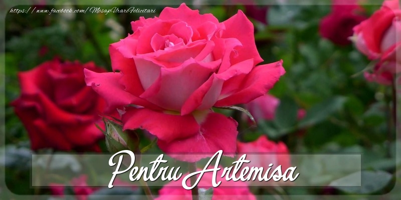  Felicitari Diverse - Trandafiri | Pentru Artemisa