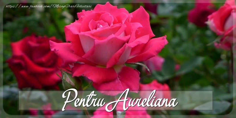 Felicitari Diverse - Trandafiri | Pentru Aureliana