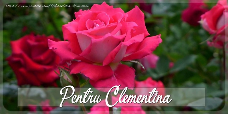 Felicitari Diverse - Pentru Clementina