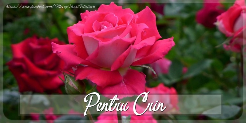 Felicitari Diverse - Pentru Crin