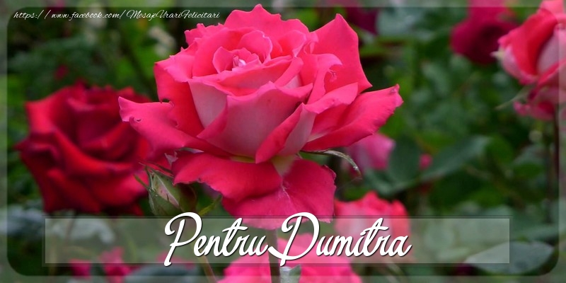 Felicitari Diverse - Trandafiri | Pentru Dumitra