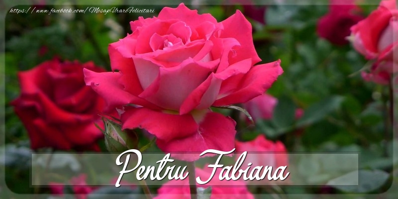 Felicitari Diverse - Trandafiri | Pentru Fabiana