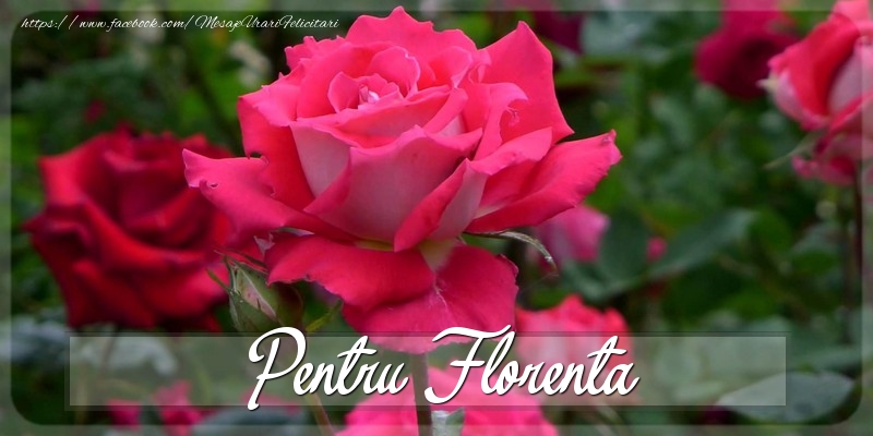 Felicitari Diverse - Trandafiri | Pentru Florenta