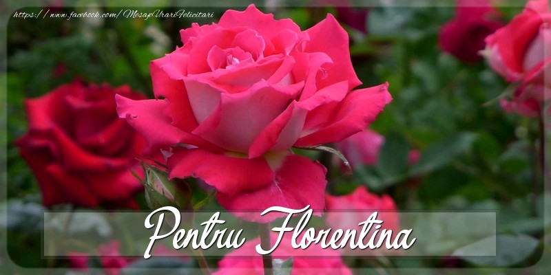 Felicitari Diverse - Trandafiri | Pentru Florentina