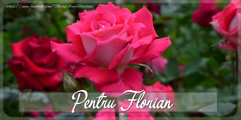 Felicitari Diverse - Trandafiri | Pentru Florian