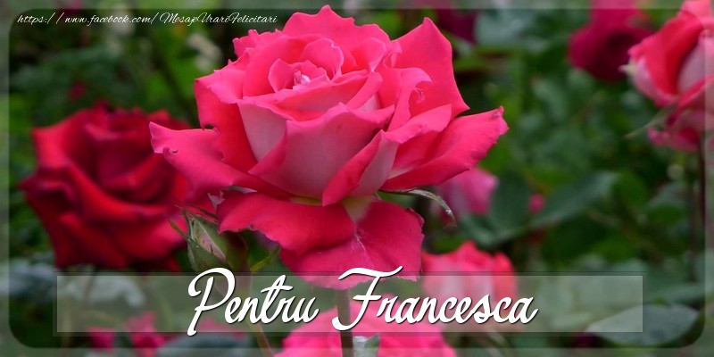 Felicitari Diverse - Trandafiri | Pentru Francesca