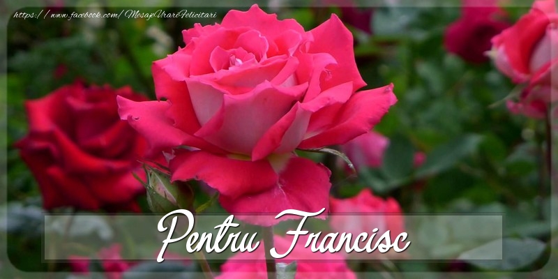 Felicitari Diverse - Trandafiri | Pentru Francisc