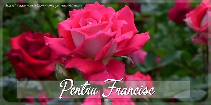 Felicitari Diverse - Pentru Francisc