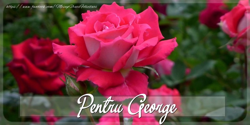 Felicitari Diverse - Trandafiri | Pentru George
