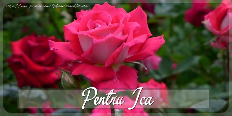 Felicitari Diverse - Pentru Ica