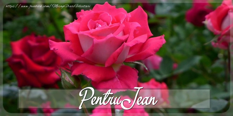 Felicitari Diverse - Trandafiri | Pentru Jean