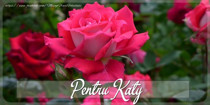 Felicitari Diverse - Trandafiri | Pentru Katy