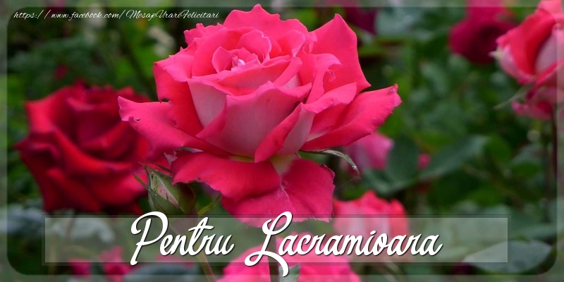 Felicitari Diverse - Pentru Lacramioara