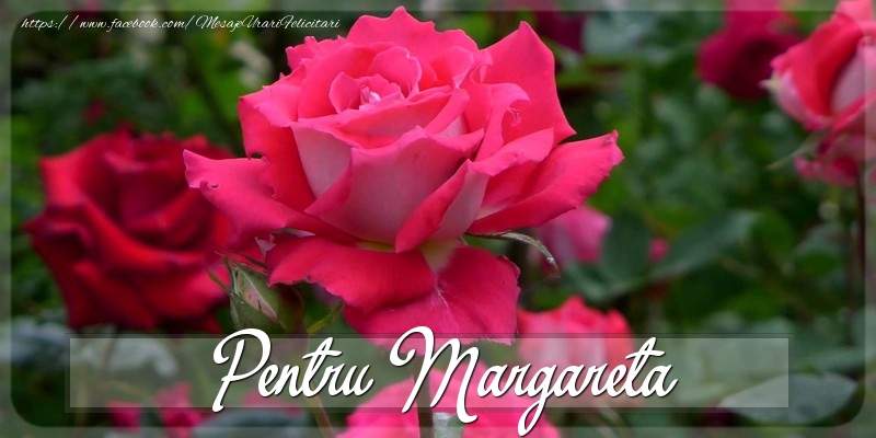 Felicitari Diverse - Trandafiri | Pentru Margareta