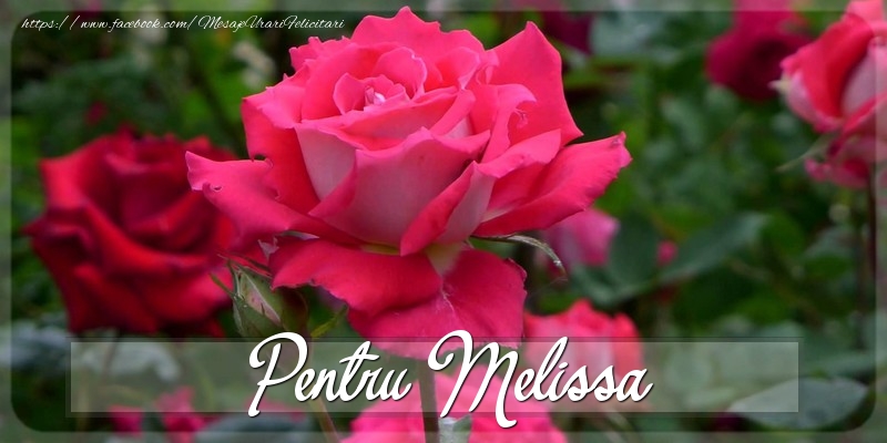Felicitari Diverse - Trandafiri | Pentru Melissa