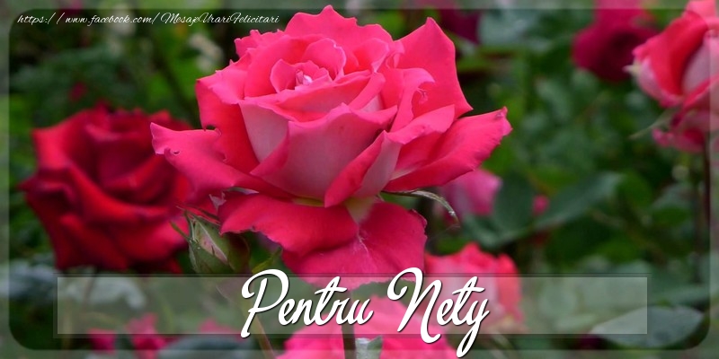Felicitari Diverse - Trandafiri | Pentru Nety