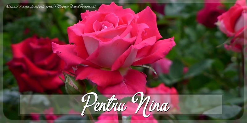 Felicitari Diverse - Trandafiri | Pentru Nina