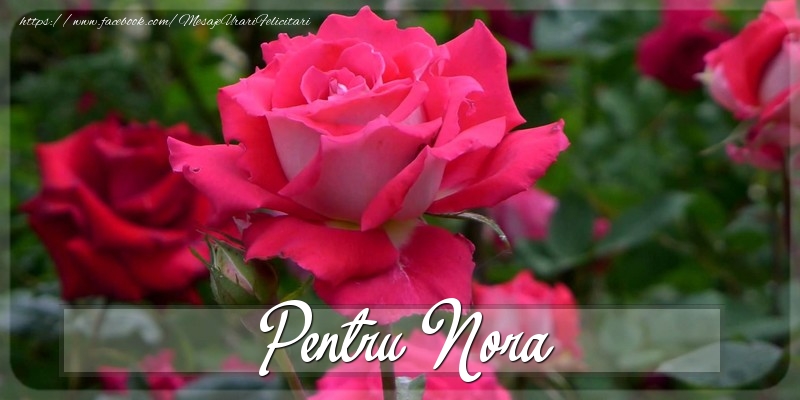 Felicitari Diverse - Trandafiri | Pentru Nora