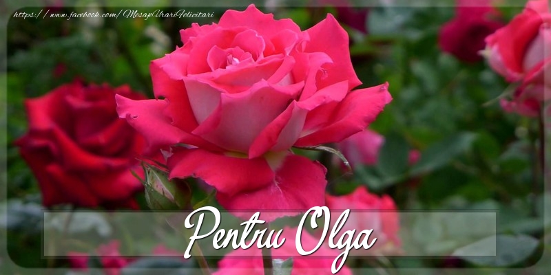 Felicitari Diverse - Trandafiri | Pentru Olga