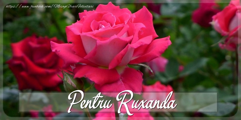 Felicitari Diverse - Trandafiri | Pentru Ruxanda