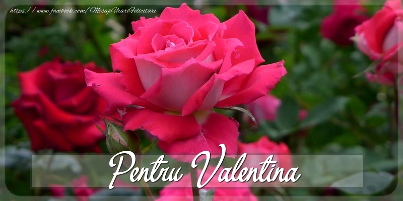 Felicitari Diverse - Trandafiri | Pentru Valentina