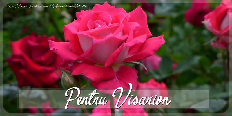 Felicitari Diverse - Trandafiri | Pentru Visarion