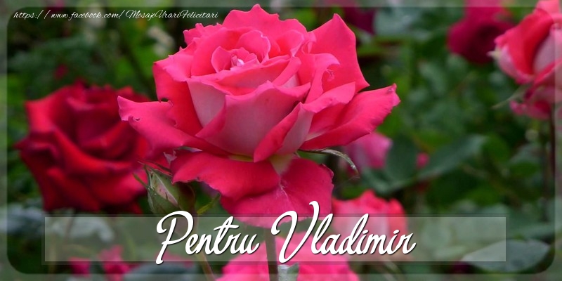 Felicitari Diverse - Pentru Vladimir