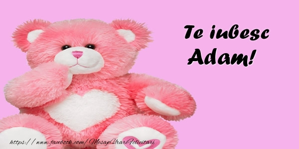 Felicitari de dragoste - Ursuleti | Te iubesc Adam!