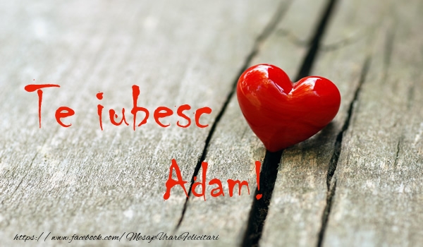 Felicitari de dragoste - Te iubesc Adam!